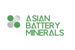 asian battery